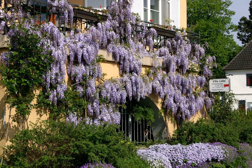 Villa Linke Am Bodensee Nonnenhorn Luaran gambar
