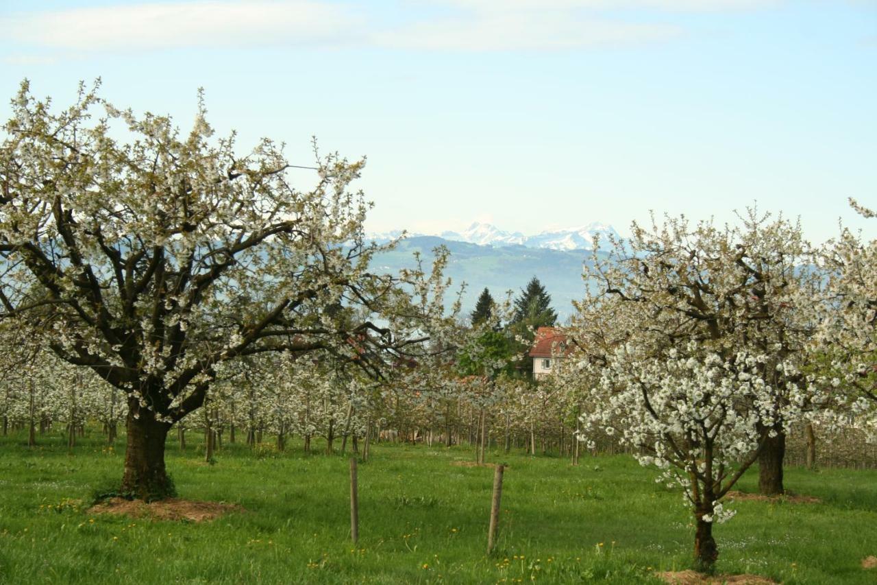 Villa Linke Am Bodensee Nonnenhorn Luaran gambar